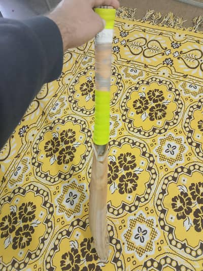 hard ball cricket bat