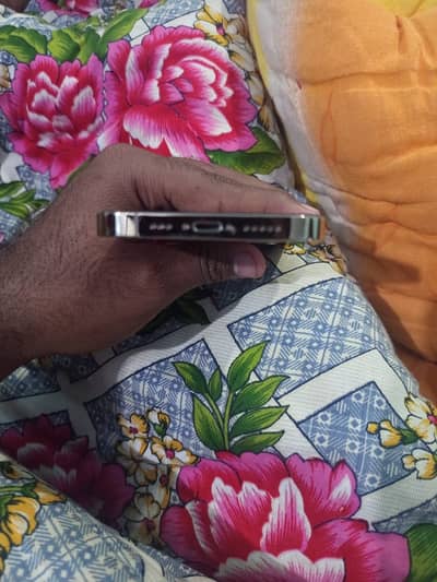 I phone 12 pro 256 gb pta approved