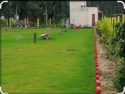 2000 Square Feet Residential Plot In Stunning Wapda Town Is Available For sale