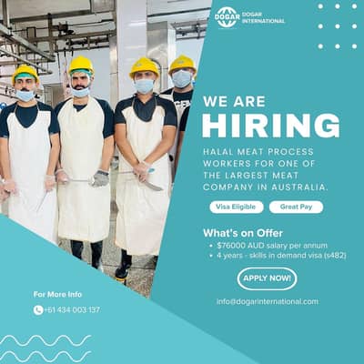 Halal Slaughterman (Meat Process Worker for slaughterhouse)