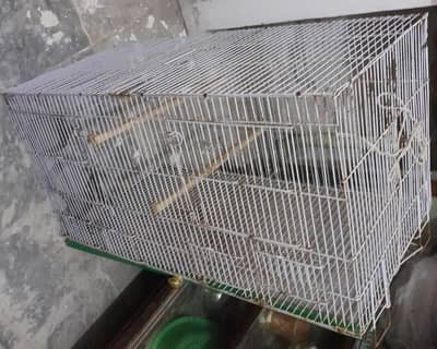 Double cage,large size