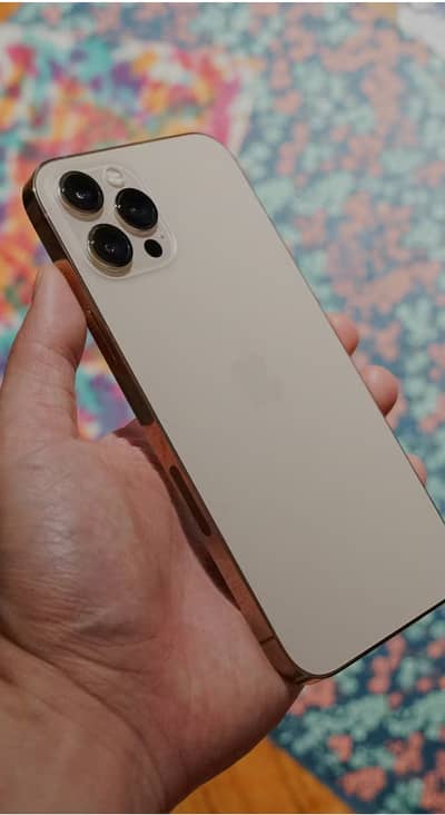 12 pro max golden clr