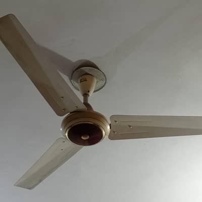 Ceiling fan available in good condition