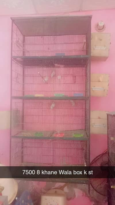 Cages urgent sale