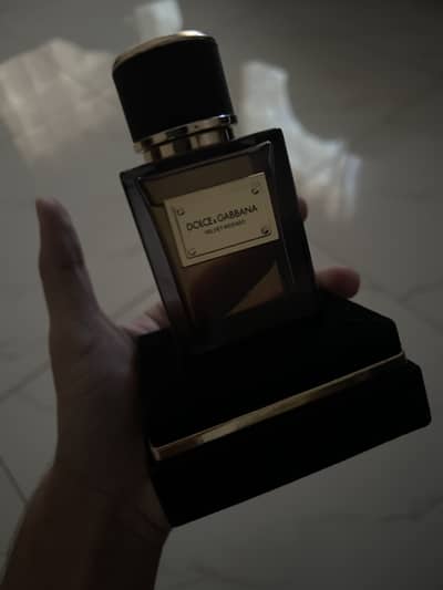 Dolce and gabbana est 1985