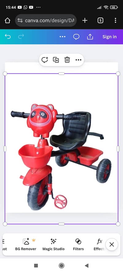 tricycle bear musical