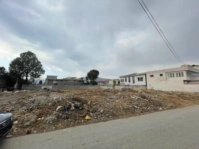 2 Kanal Plot For Sale At Jinnahbad