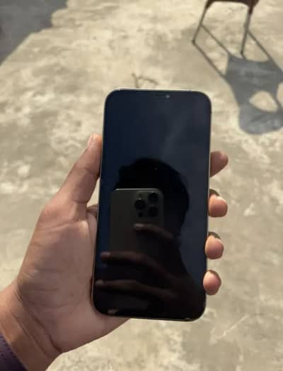 iphone 12 pro max dual pta approved