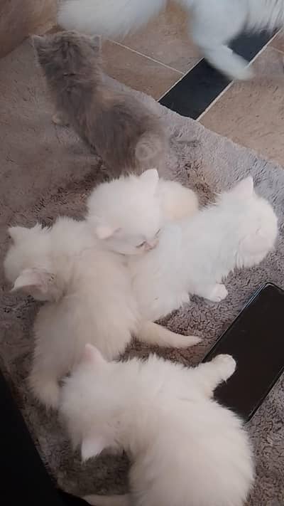 cute and healthy baby