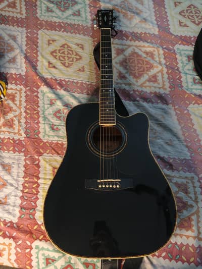 Semi Acoustic Cort company Guitar model AD880CE