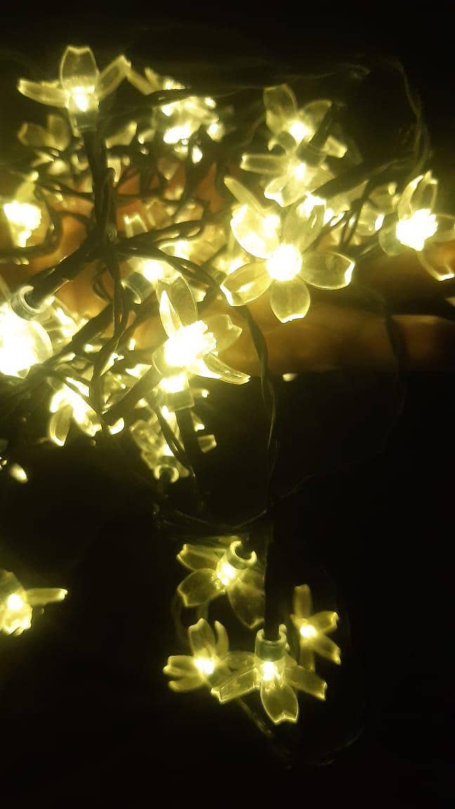 solar string lights 1