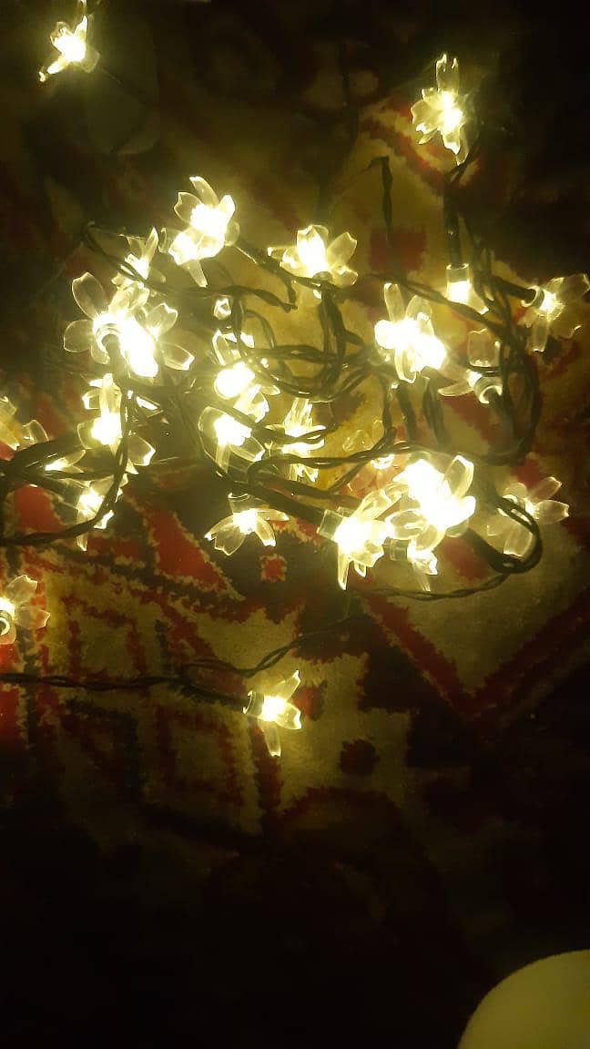 solar string lights 6