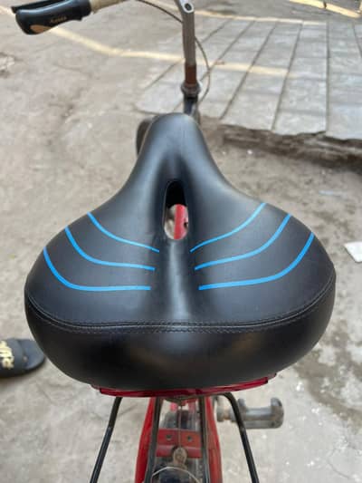 phoenix bicycle with gear transmission