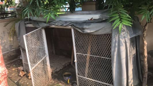 Iron cage for Hens hight 6,4,4