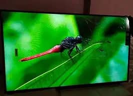 50  INCH LED,52,54 ANDROID UHD 8K MODEL 3 YEAR WARRANTY O3294774453
