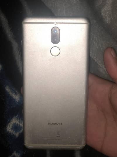 Hawaii mate 10 lite