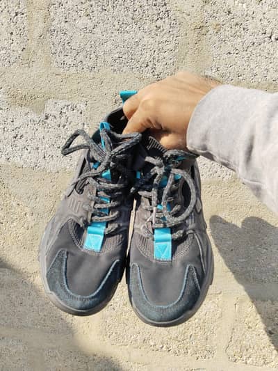 winter collection hai