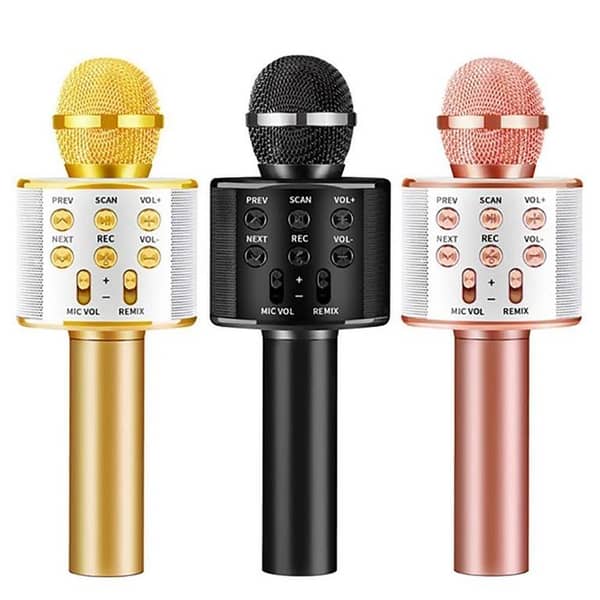 Portable Wireless Karaoke Microphone - Bluetooth Speaker, Voice Recorder, FM Radio - Ideal for Parties and Outdoor Trips