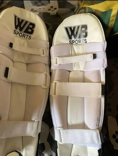 Cricket bard ball bating pads