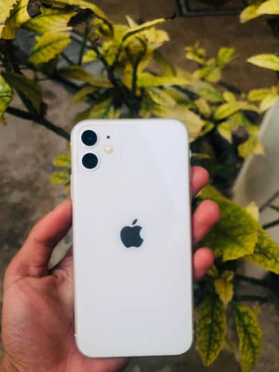 Iphone 11 best phone