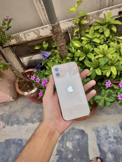 Iphone 12 Non PTA JV (Water pack)