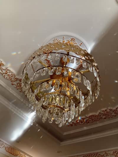 Brand new fanoos for sale