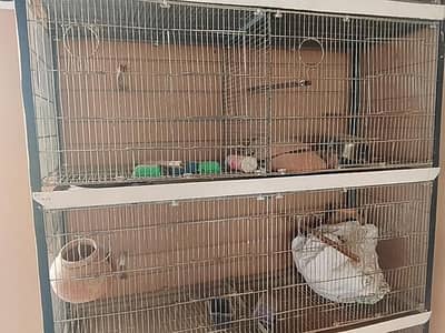 Galvanized cage/ 8 portion cage/ birds cage