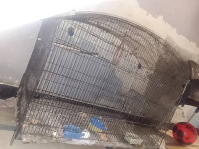 Cage Big size