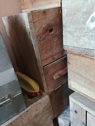 Ring Nick box/ love birds boxes/ box for sale