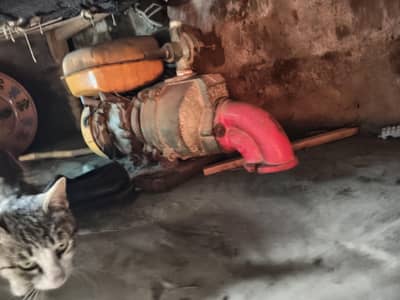 pitrol motar pump for sale