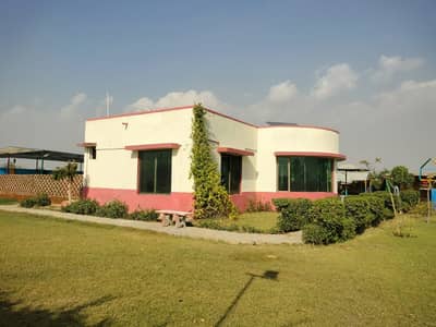 Ideally Located Prime Location Farm House For rent In Gadap Town Available