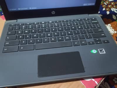 Hp Chromebook g8