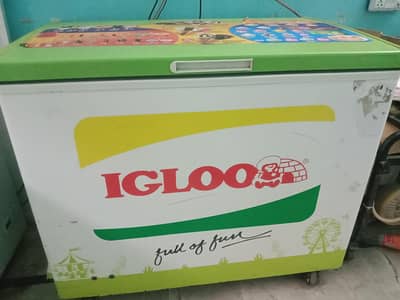 igloo frizer 80000