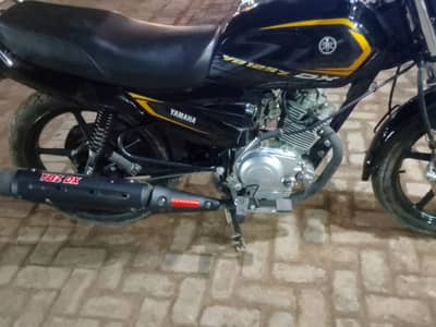Yamaha YB 125Z-DX 2025 | Brand New | Disc Brake | Excellent Condition