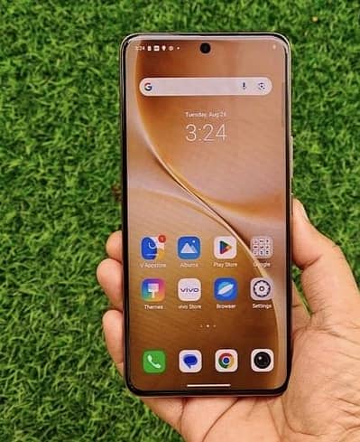 11 month warranty 10by10