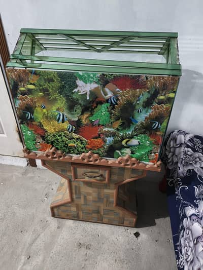 Fish tank with all equipment almost new