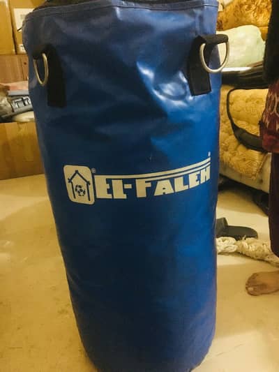 Gym Punch bag