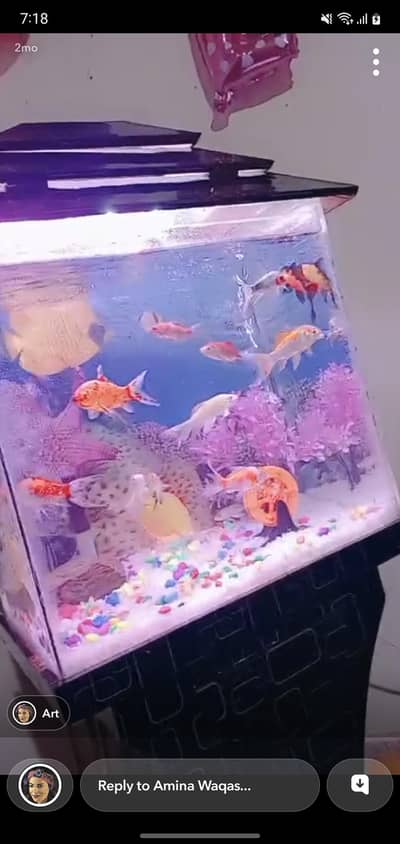 I wanna sale my  fish aquarium with all accessories and with fiishes