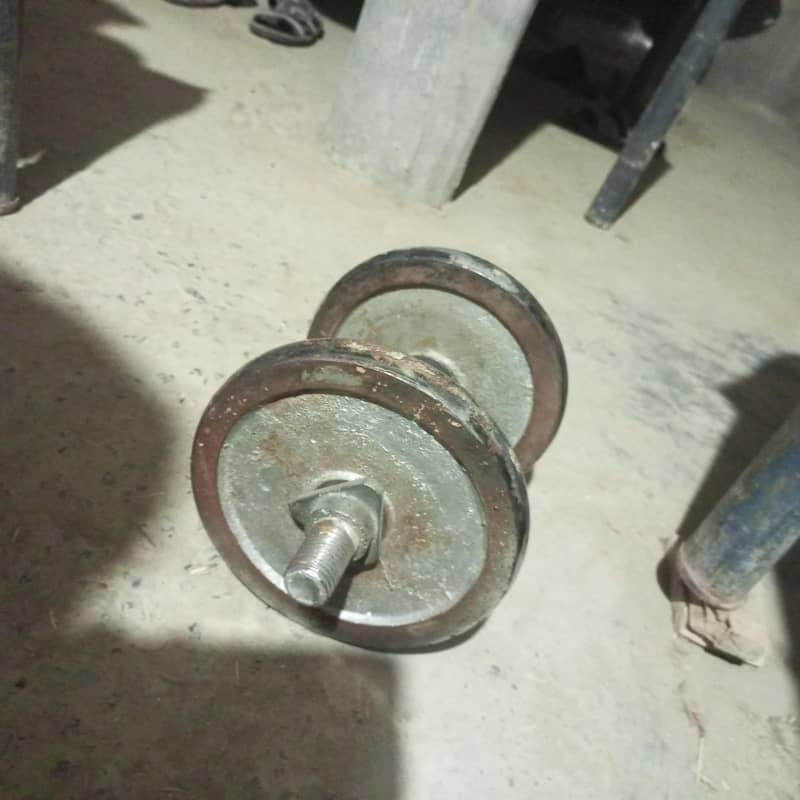 Dumbbell 1