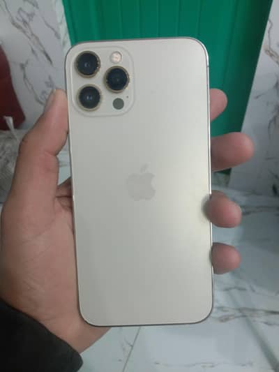 i phone 12 pro max