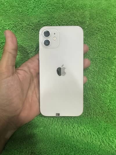 Iphone 12 Pta Approved