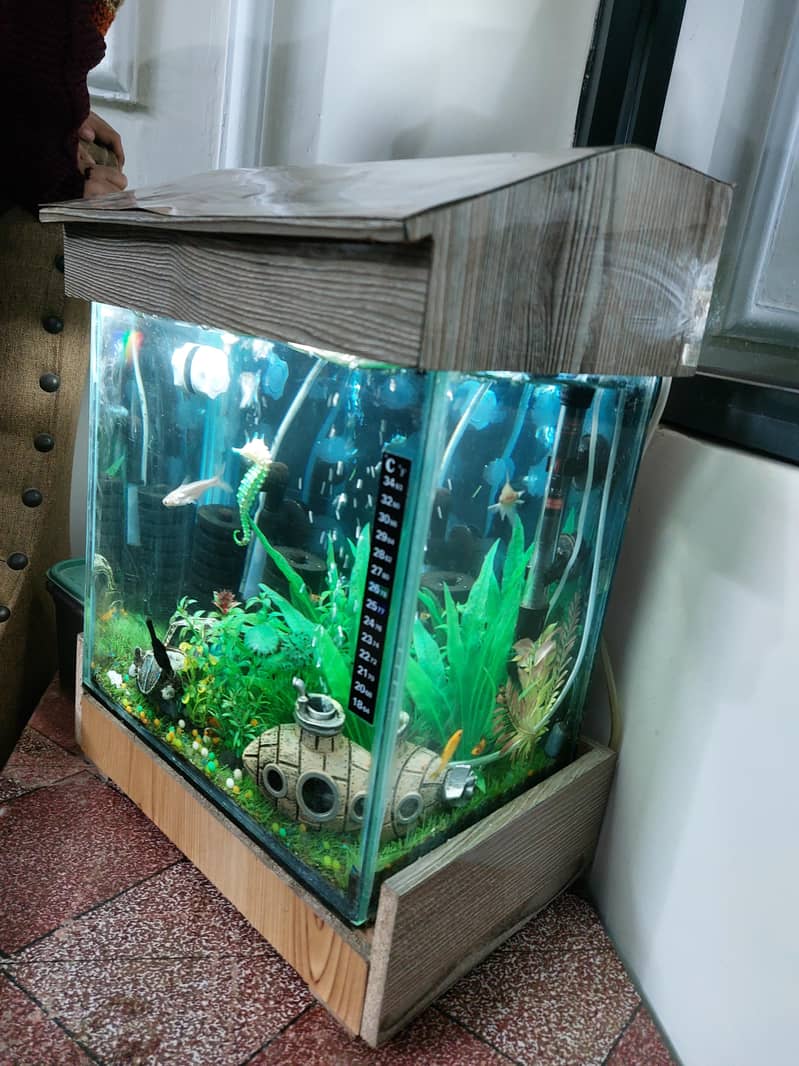 Table Aquarium 0