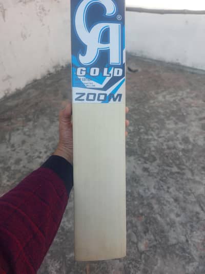 CA Hardball Bat (new)