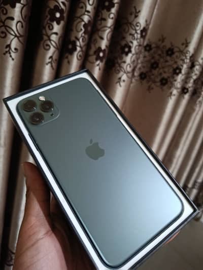 11 pro max Pta 256gb