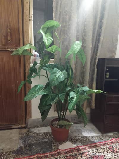 2 artificial plants for sale