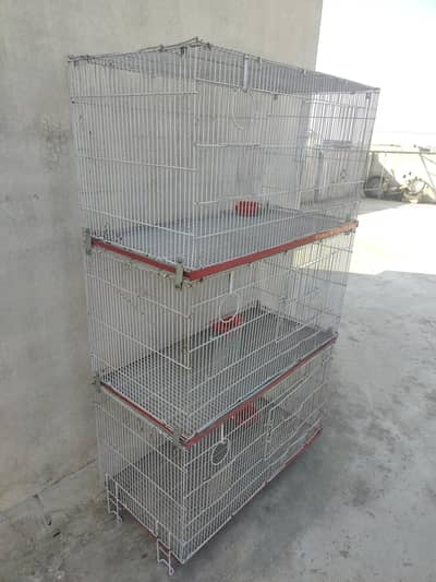 Hen and parrat cage