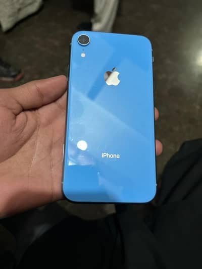 iPhone XR