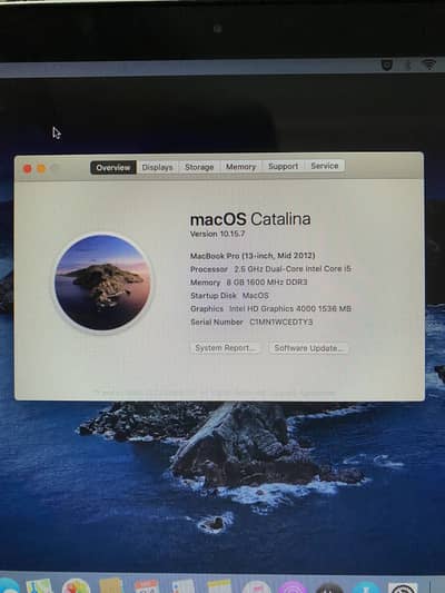 Macbook pro mid 2012 (13 inch)