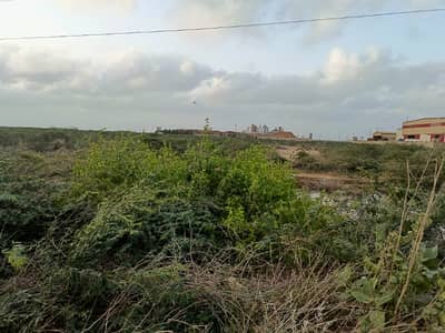 Port Qasim Authority We Deal Industrial Commercials And Warehouse Plot