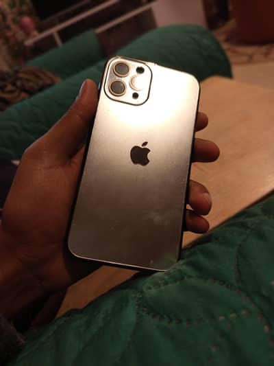 Iphone 11 PRO Shiny Silver case